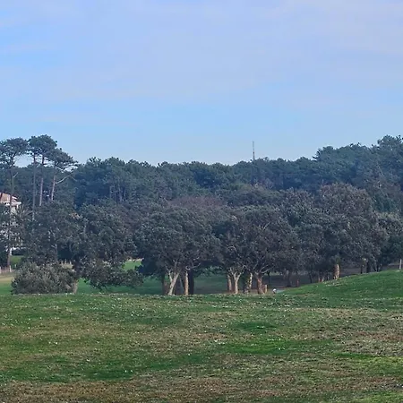 Entre Foret Et Ocean *
